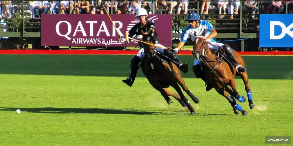 为什么选择我们